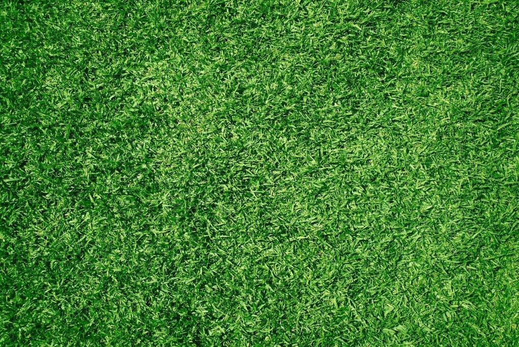 Gazon synthétique ou naturel : quelle est la meilleure option ?