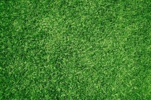 Gazon synthétique ou naturel : quelle est la meilleure option ?