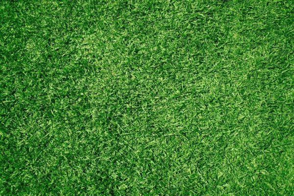 Gazon synthétique ou naturel : quelle est la meilleure option ?